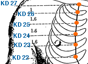 kd26