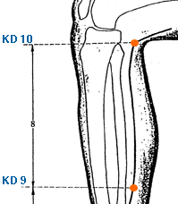 kd10