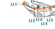 li3