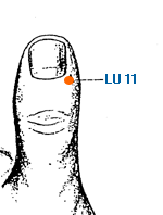 lu11