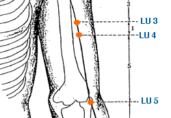 Important Acupressure Point LV 3, Location