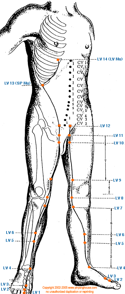 Important Acupressure Point LV 3, Location