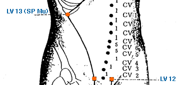Yin Yang House  LV 13 Acupuncture Point Theory
