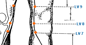 Important Acupressure Point LV 3, Location