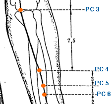 Yin Yang House  Acupuncture Points On The Liver Meridian