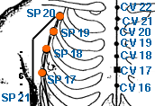 sp18