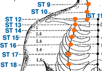 肯妮小店 - Step 1: Shanchung Acupressure Point Located in between