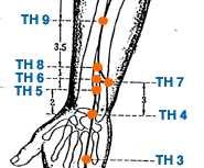 Yin Yang House | Acupuncture Points On The Triple Heater Meridian ...