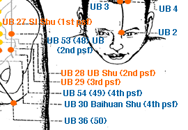 ub28