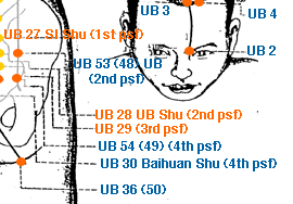 ub27