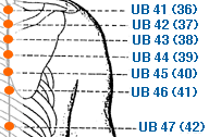 ub44